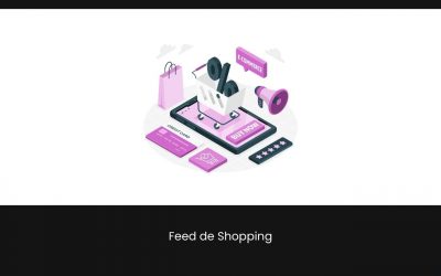 Feed de Shopping: Una guía completa de como sacarles el máximo partido